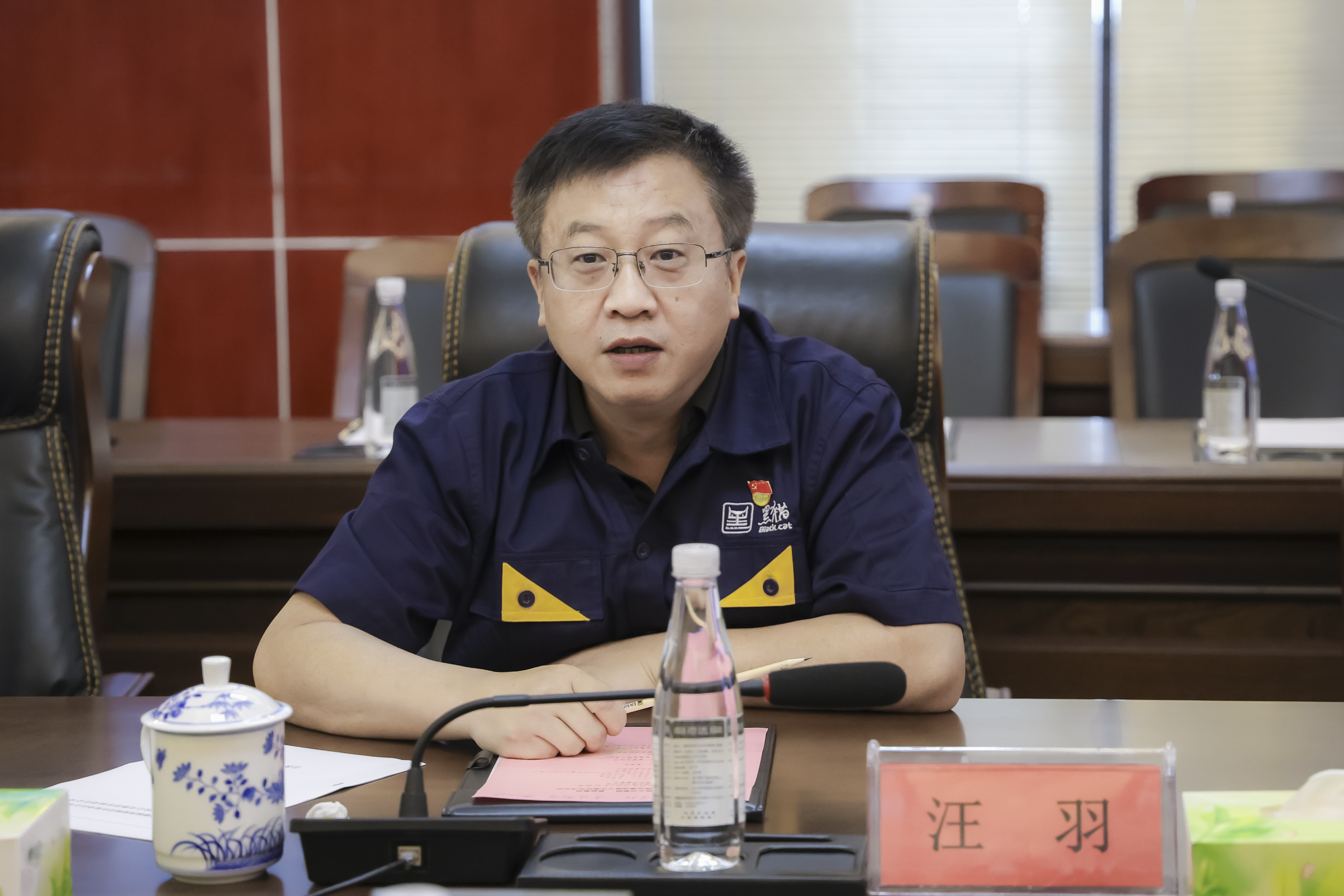圖3 汪羽講話(huà).jpg